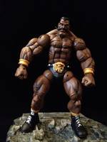 Street Fighter Darun Mister (Street Fighter) Custom Action Figure