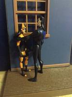 Dcau Style Tigress (Justice League Unlimited) Custom Action Figure