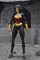 Wonder Woman (DC Universe) Custom Action Figure