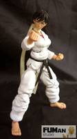 Capcom Street Fighter Makoto (Street Fighter) Custom Action Figure
