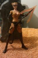 Urban Gear Cheetah (DC Universe) Custom Action Figure