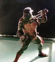 Raphael (Teenage Mutant Ninja Turtles) Custom Action Figure