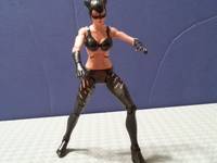 Catwoman (Halle Berry) (DC Universe) Custom Action Figure