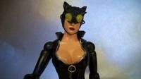 Catwoman (DC Universe) Custom Action Figure