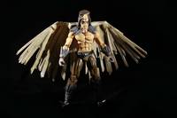 Raptor (G.I. Joe) Custom Action Figure