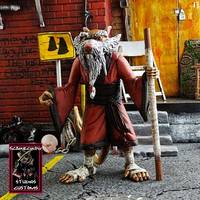 Splinter (Teenage Mutant Ninja Turtles) Custom Action Figure