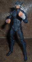 Wilcat (DC Infinite Heroes) Custom Action Figure