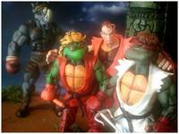 Teenage Mutant Street Fighter Turtles..Balroc-Steady (Teenage Mutant Ninja Turtles) Custom Action Figure