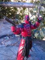Pirate Dead Pool (Marvel) Custom Action Figure