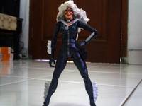 Black Cat (Marvel Legends) Custom Action Figure