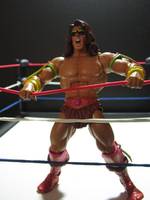 Ultimate Warrior (Masters of the Wrestling Universe) (Masters of the Universe) Custom Action Figure