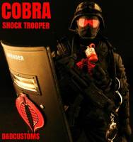 Cobra Shock Trooper Poc (G.I. Joe) Custom Action Figure