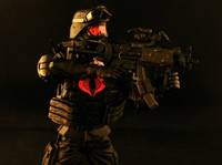 Cobra Shock Trooper Poc (G.I. Joe) Custom Action Figure