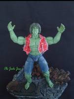Lou Ferrigno, the Incredible Hulk (Incredible Hulk) Custom Action Figure