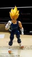 S.H.Figuarts Majin Vegeta (Dragonball Z) Custom Action Figure