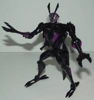 Botcon Beast Wars Antagony (Transformers - Beast Wars) Custom Action Figure