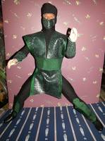 Reptile Mortap Kombat (Mortal Kombat) Custom Action Figure
