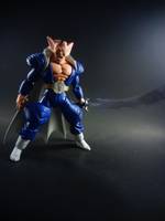 S.H Figaurts Dabura (Dragonball Z) Custom Action Figure