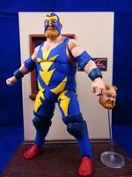 Raiden (Bear) (Fatal Fury) Custom Action Figure