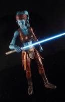 Aayla Secura (Star Wars) Custom Action Figure