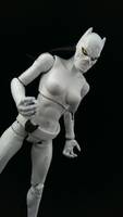White Tiger (Marvel Legends) Custom Action Figure