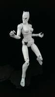 White Tiger (Marvel Legends) Custom Action Figure