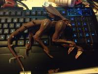Starcraft: Zerg Zergling (Broodwar Cinematic) (Starcraft) Custom Action Figure