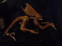 Starcraft: Zerg Zergling (Broodwar Cinematic) (Starcraft) Custom Action Figure