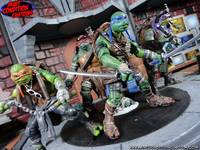 TMNT (2014 Movie Accurate Repaints) (Teenage Mutant Ninja Turtles) Custom Action Figure