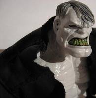 Solomon Grundy (DC Superheroes) Custom Action Figure