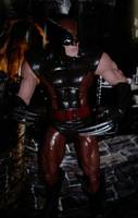 Wolverine (Marvel Select) Custom Action Figure
