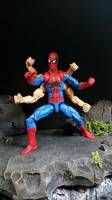 Spider-Man (6 Arms) (Marvel Legends) Custom Action Figure
