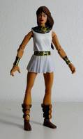 ISIS the Secrets of Isis (DC Universe) Custom Action Figure