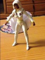 Storm (Marvel Universe) Custom Action Figure