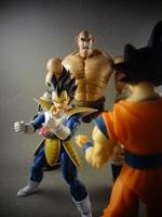 S.H Figuarts Nappa Battle Damaged (Dragonball Z) Custom Action Figure