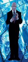 LEX LUTHOR Superman's Arch-Nemesis (DC Universe) Custom Action Figure