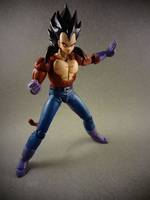 S.H Figuarts Super Sayian 4 Vegeta (Dragonball Z) Custom Action Figure