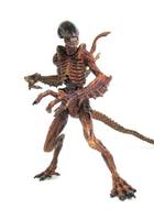 Waarrior Alien (Aliens) Custom Action Figure