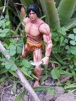 Tarzan (DC Universe) Custom Action Figure