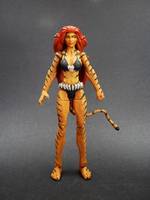 Tigra (Marvel Universe) Custom Action Figure