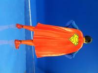 Dc Multiverse | Christopher Reeve Superman the Movie (Movie Masters) Custom Action Figure