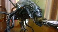 Neca Alien Queen (with Correct Jaw Tendons) (Aliens) Custom Action Figure