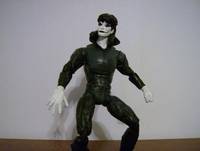 The Crow (Crow) Custom Action Figure