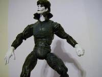 The Crow (Crow) Custom Action Figure