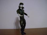 The Crow (Crow) Custom Action Figure