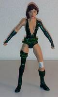 THORN Rhosyn Forrest Birds of Prey Member (DC Universe) Custom Action Figure