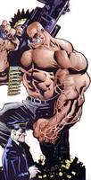 The GENERAL General Wade Eiling Injustice Gang Member (DC Universe) Custom Action Figure