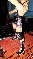 The King of Harts Owen Hart (Wrestling) Custom Action Figure