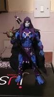 Skeletor (Masters of the Universe) Custom Action Figure
