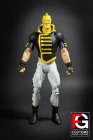 DCUC the Ray (DC Universe) Custom Action Figure